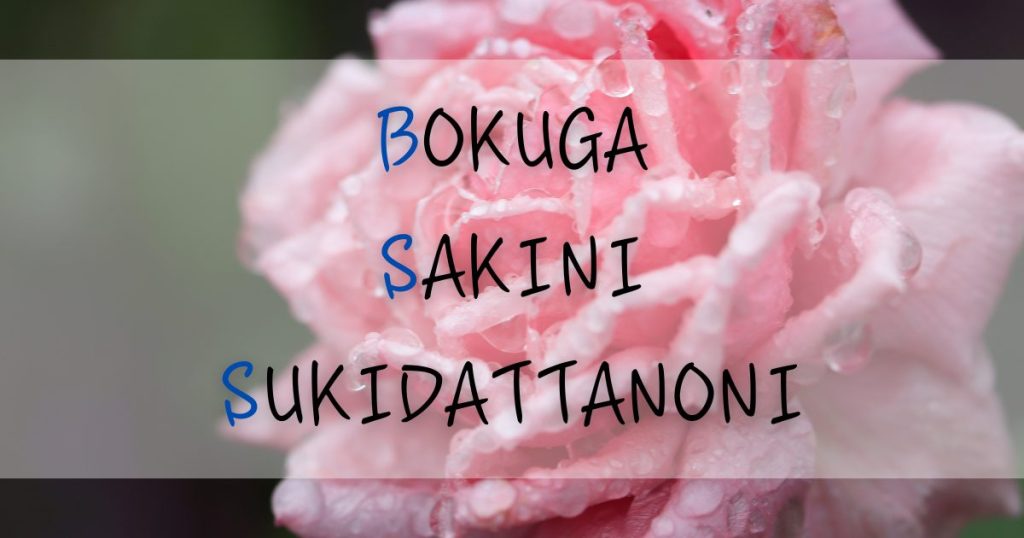 BOKUGASAKINISUKIDATTANONI